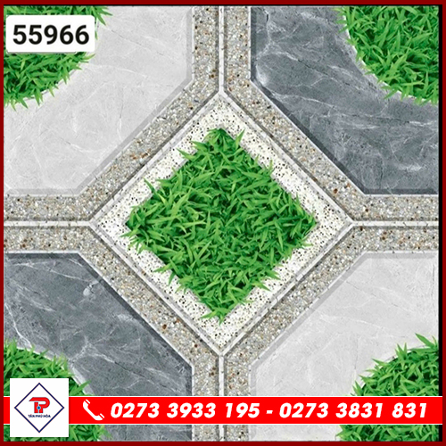 Gạch Sân Vườn 50x50
